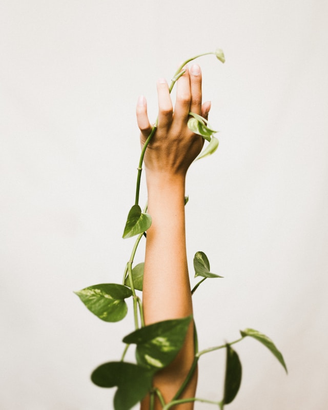 Plant growing on human arm and hand