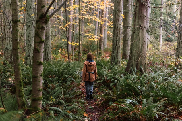 Girl walking alone inn forest